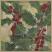 CanterburyBell - 345
