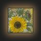Sunflower 400